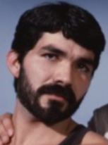 Adam (colt)
