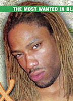 Mocha (dreadlock)