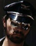Terry (colt)