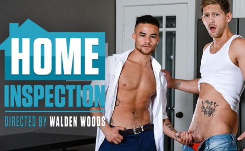 Imagem de Home Inspection - Beaux Banks and Roman Todd