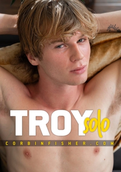 Introducing Troy