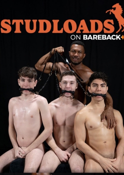 Stable Master Stud Loads Vol. 6