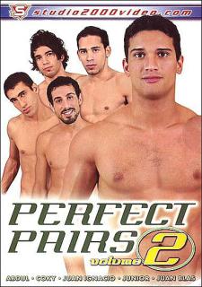 Perfect Pairs 2