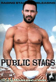 Public Stags