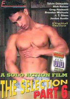 The Selection 6